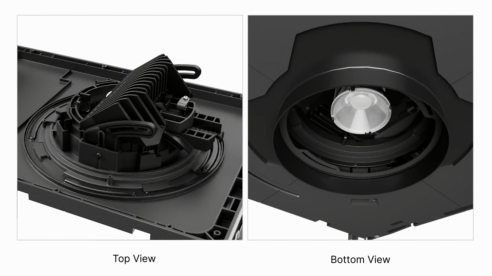 Pure Forms Downlight Rotate Options