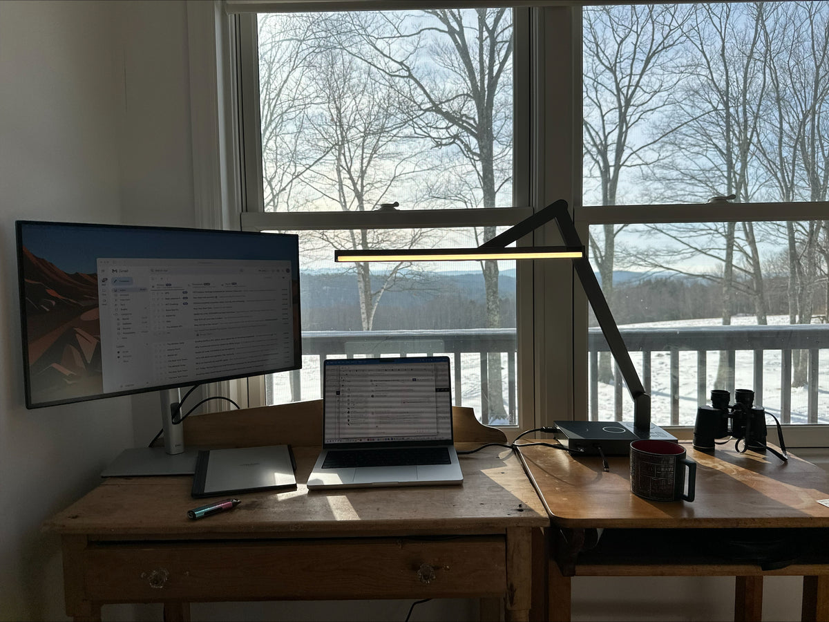 Modern Desk Lamps - Pure Forms - Shop Now